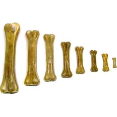 Salač Přírodní žvýkací kost 12–13 cm 10 ks