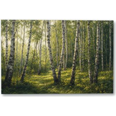 Plakát – Sluneční světlo v březovém lese 135 × 90 cm Bez rámu Ne Bez rámu