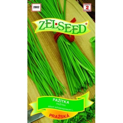 Pažítka PRAŽSKÁ 1.80g Zelseed