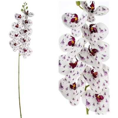 ORCHIDEA PHALENOPSIS BIELA S FIAL KVETMI 96CM