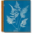Anna Atkins. Cyanotypes