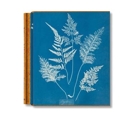 Anna Atkins. Cyanotypes