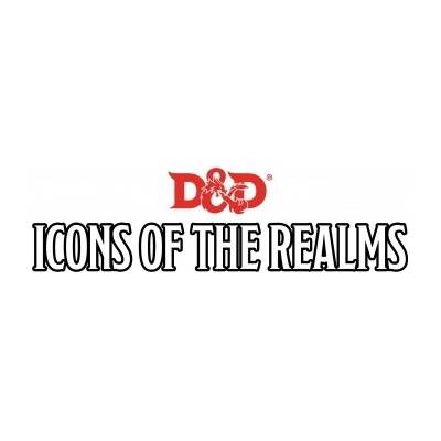 WizKids D&D Icons of the Realms Miniatures: D&D Set 22 Premium Set 1