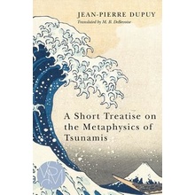 A Short Treatise on the Metaphysics of Tsunamis Dupuy Jean-PierrePaperback