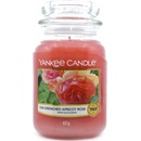 Sviečky Yankee Candle Sun Drenched Apricot Rose 623 g