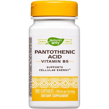 Nature's Way Pantothenic Acid (Vitamin В5), 100 капсули, Nature's Way