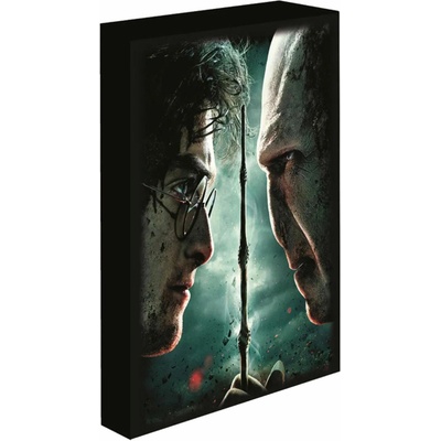 Harry Potter - Harry vs. Voldemort, 30 × 40 cm - LED svítící obraz (WMLWDCL12294EPE)