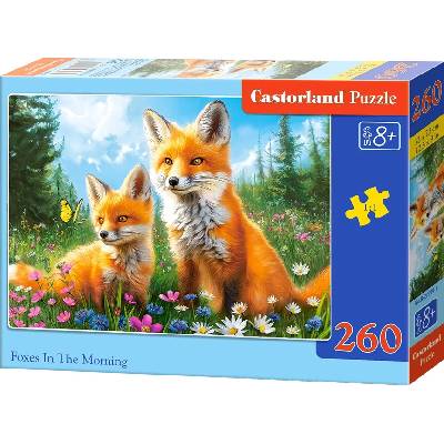 CASTORLAND Líščie ráno 260 dielov