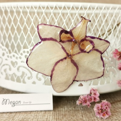 Meganflo Голяма брошка от Орхидея