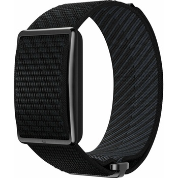Polar Loop 2