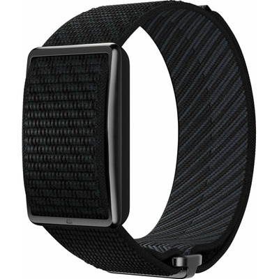 Polar Loop 2
