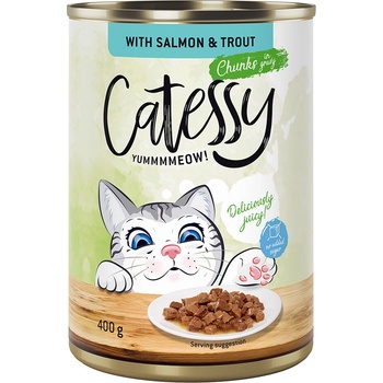 Catessy losos a pstruh v omáčke 24 x 400 g