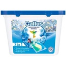 Gallus Universal kapsule 30 PD