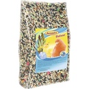 Avicentra Deluxe Kanár 0,5 kg