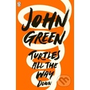 Turtles All the Way Down