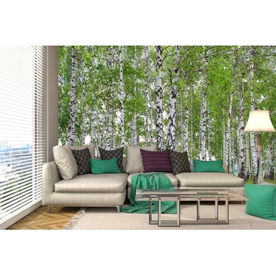 Самозалепваща се флизелинова фототапета пролетна брезова горичка 375 x 250 см