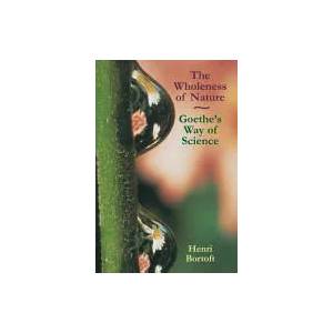 Wholeness of Nature | Henri Bortoft (1996)