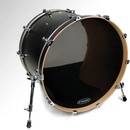 Evans BD22SCR