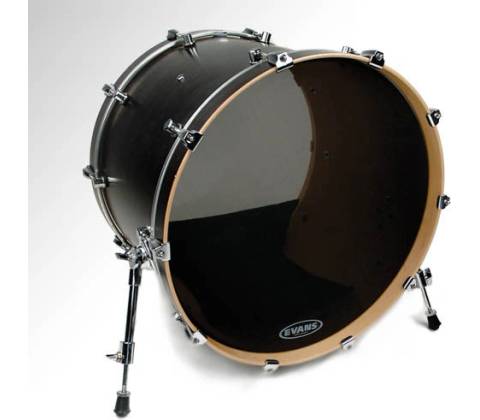 Evans BD22SCR