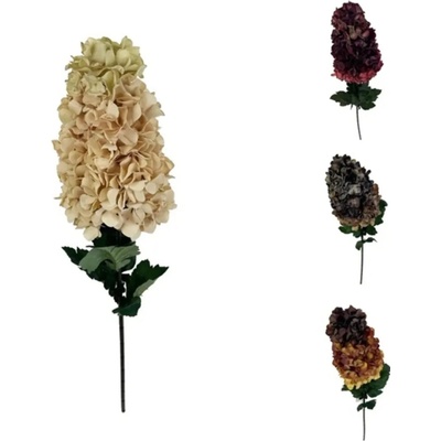 Piskáček Praha Sušina Hortenzie latnatá (Hydrangea paniculata) 90cm mix barev