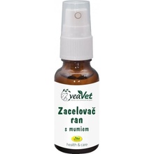 cdVet WundEx Zaceľovač rán s mumiom 20 ml