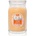 Yankee Candle Slopeside Spritz ароматна свещ Signature 567 гр