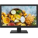 Hikvision DS-D5019QE