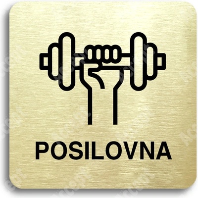 ACCEPT Piktogram posilovna - zlatá tabulka - černý tisk bez rámečku
