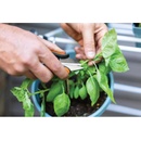 Image 1 of Fiskars Solid SP220 1063326