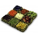 Grainless pralinky pre hlodavce 125 g JR Farm