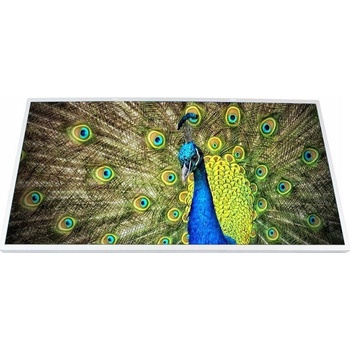 LCD LESK HD+ ASUS K751M K751MA