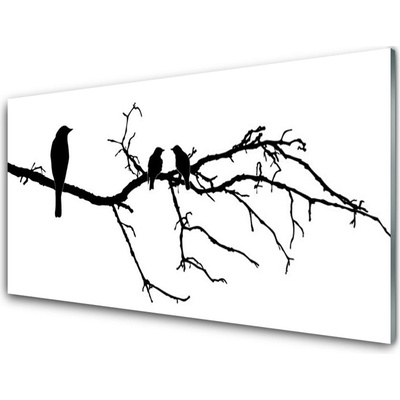 Obraz na skle Ptáci Větev Umění 100x50 cm