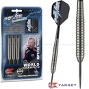 Target Steel Power Silverlight Phil Taylor 24 g