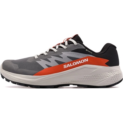 Salomon Alphaglide Gore-Tex