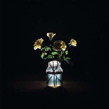 Billy Strings: Renewal CD