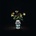 Billy Strings: Renewal CD