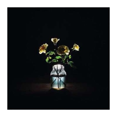 Billy Strings: Renewal CD