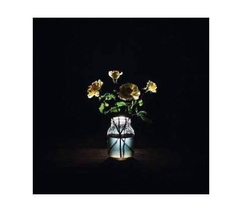 Billy Strings: Renewal CD