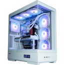 Zalman P50 DS White