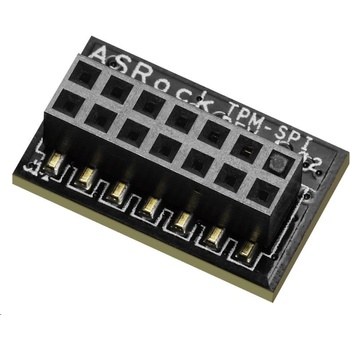 ASRock TPM-SPI
