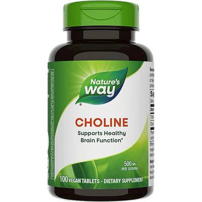 Nature's Way Choline, 500 mg, 100 таблетки, Nature’s Way