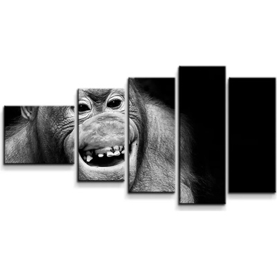 Sablio Obraz - 5-dílný Orangutan - 100x60 cm