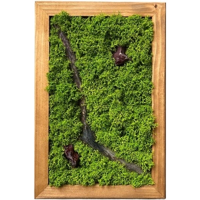 Machový obraz Ls 30x20cm