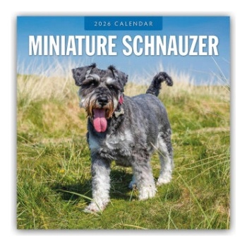 Browntrout Verlags GmbH Miniature Schnauzer - Zwergschnauzer 2026 - 16-Monatskalender