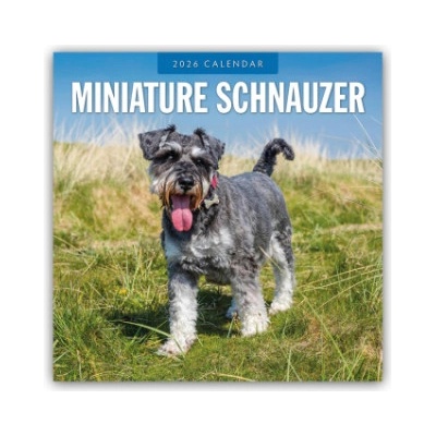 Browntrout Verlags GmbH Miniature Schnauzer - Zwergschnauzer 2026 - 16-Monatskalender | Red Robin