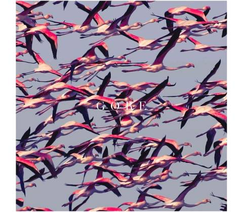 DEFTONES: GORE CD