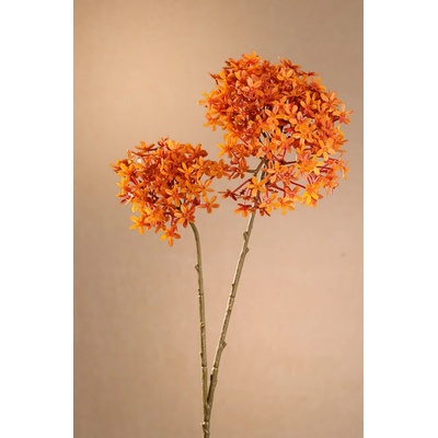 Paramit DRY CROWN FLOWER Aranžovací květina oranžová 71 cm