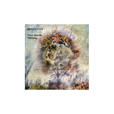 VEVERKA VILEM - REFLECTION CD