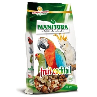 MANITOBA Fruit cocktail ПЛОДОВ КОКТЕЙЛ, 700 гр, manitoba - Италия, 26647
