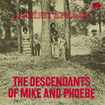 Bill Lee And The Descendants Of Mike And Phoebe - A Spirit Speaks LP
